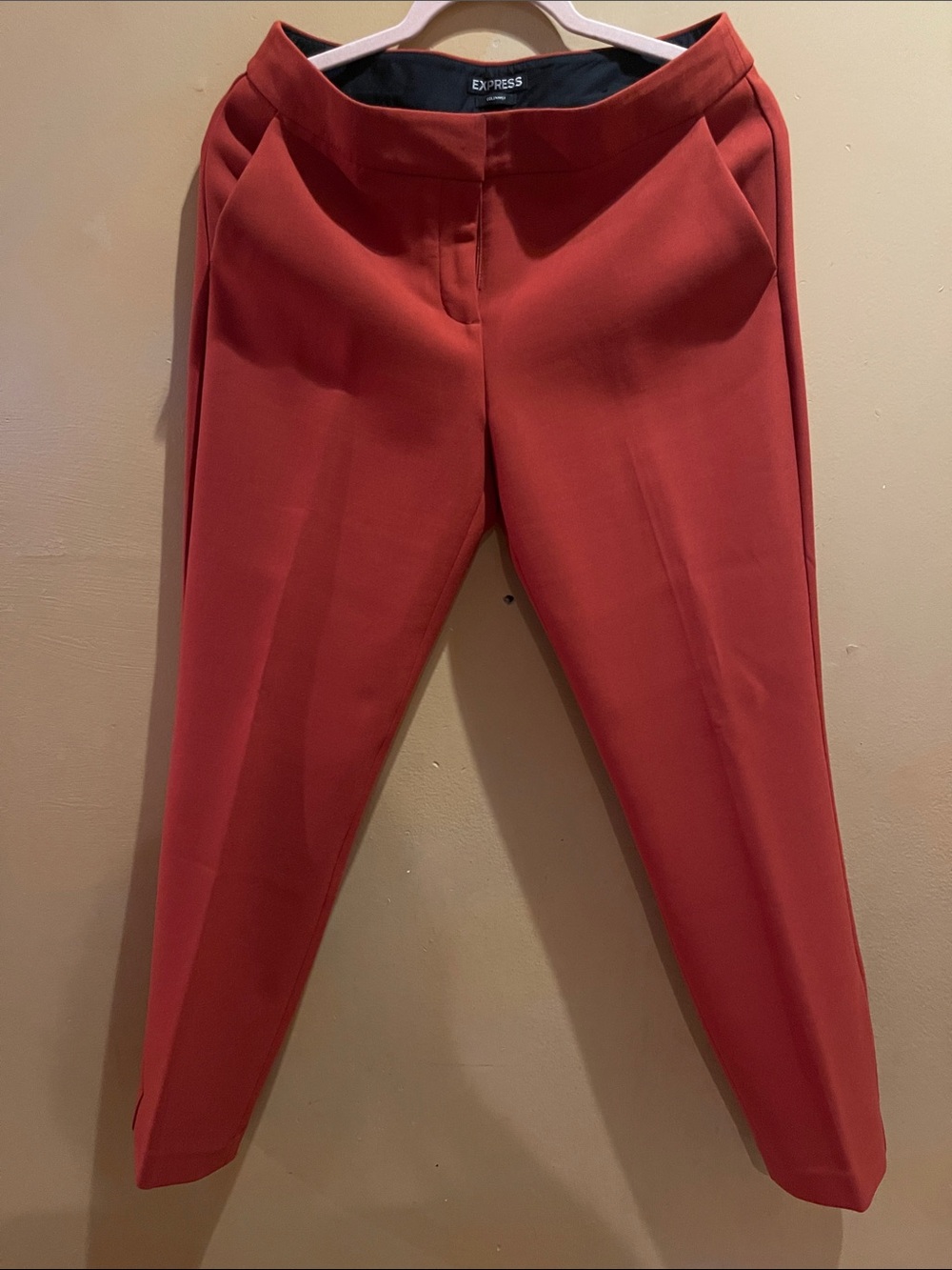 Express Women's Brick Red Dress Pants